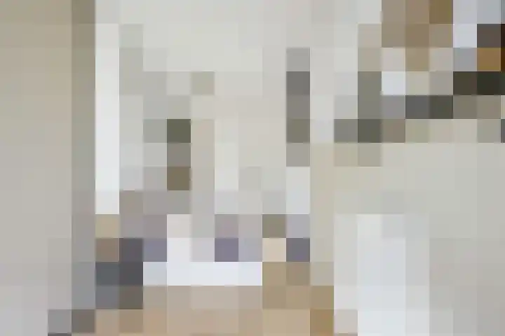 Van Egmondkade 92 Utrecht thumbnail 33