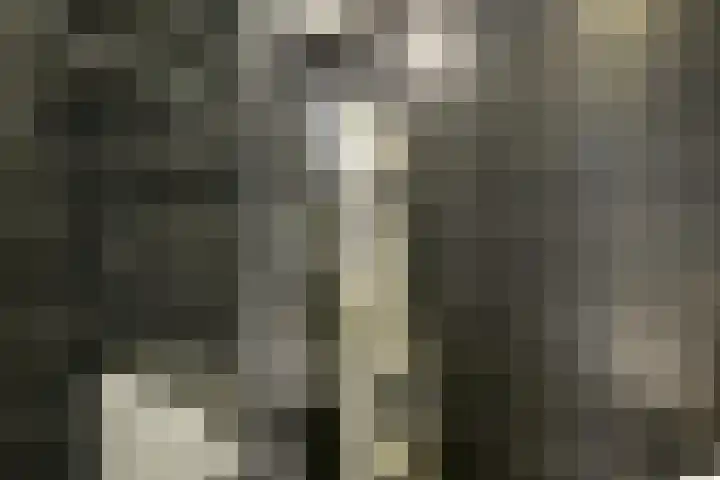 Van Egmondkade 92 Utrecht thumbnail 36
