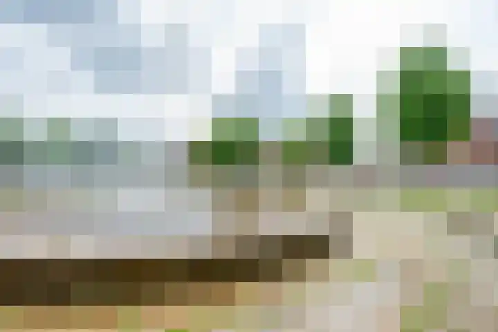 Van Egmondkade 92 Utrecht thumbnail 43
