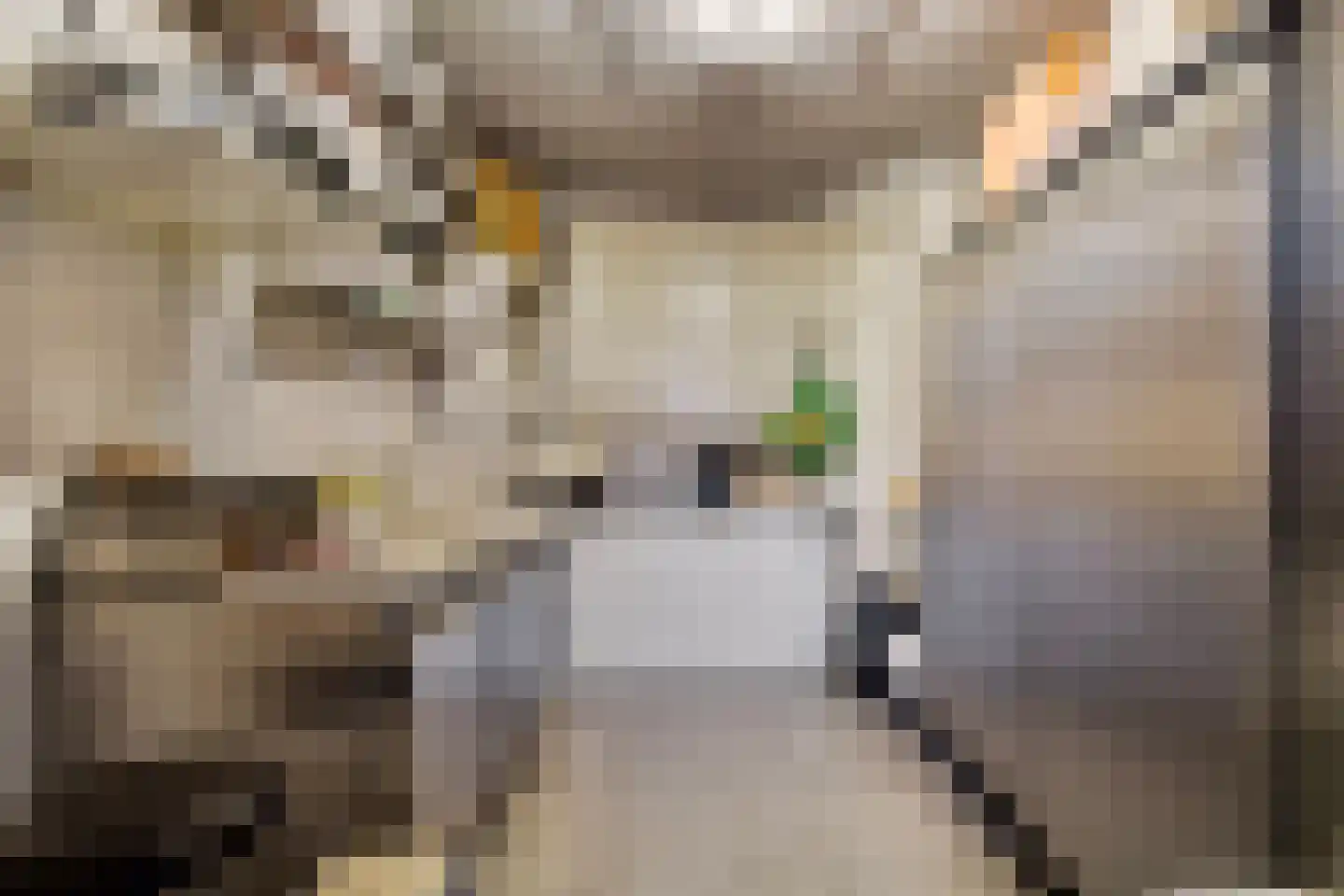 Van Egmondkade 96 Utrecht thumbnail 10