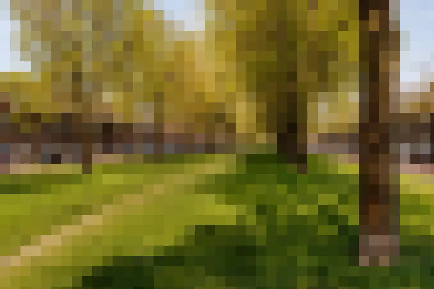 Van Egmondkade 96 Utrecht thumbnail 40