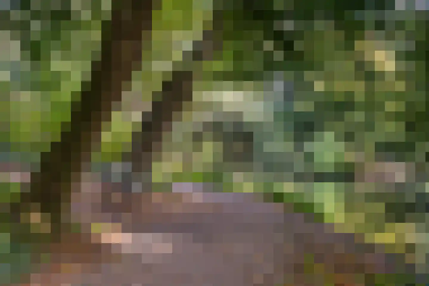 Van Egmondkade 96 Utrecht thumbnail 41