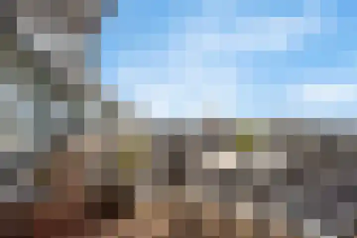 Van Egmondlaan 113 Wateringen thumbnail 17
