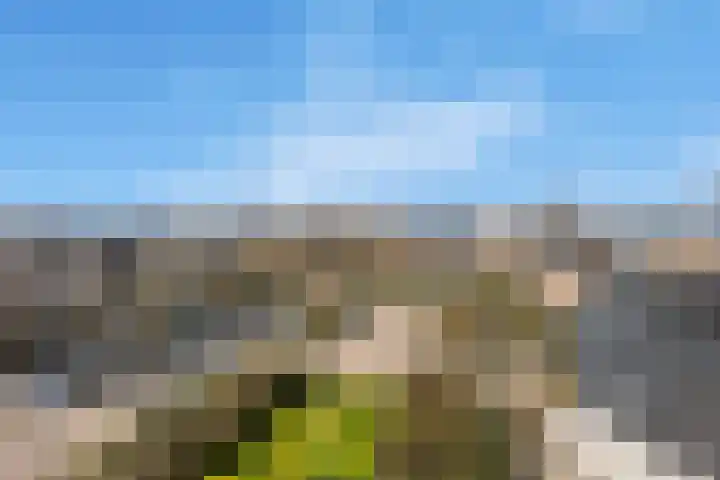 Van Egmondlaan 113 Wateringen thumbnail 19