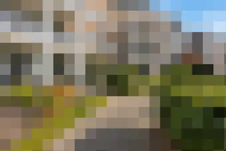 Van Egmondlaan 113 Wateringen thumbnail 32