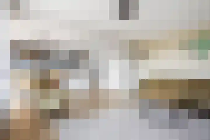 Van Egmondlaan 113 Wateringen thumbnail 4