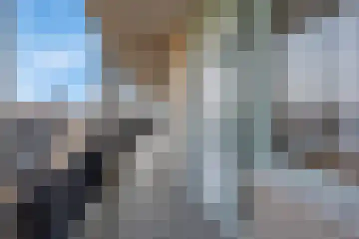 Van Egmondlaan 113 Wateringen thumbnail 7