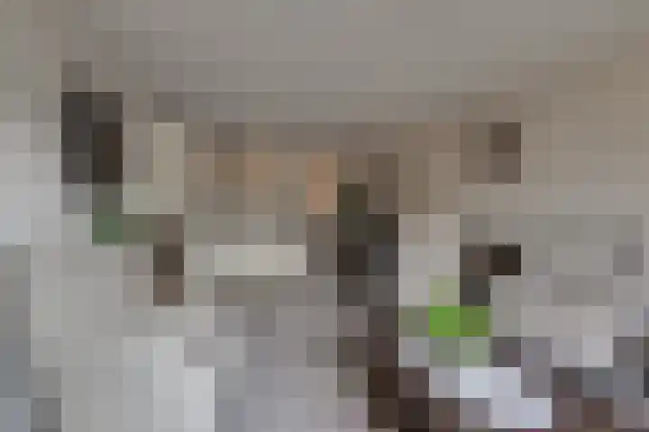 Van Egmondlaan 17 Wateringen thumbnail 14