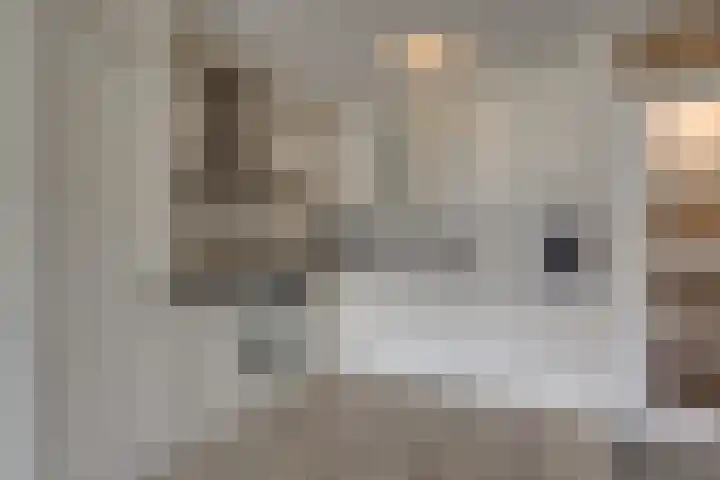 Van Egmondlaan 17 Wateringen thumbnail 16