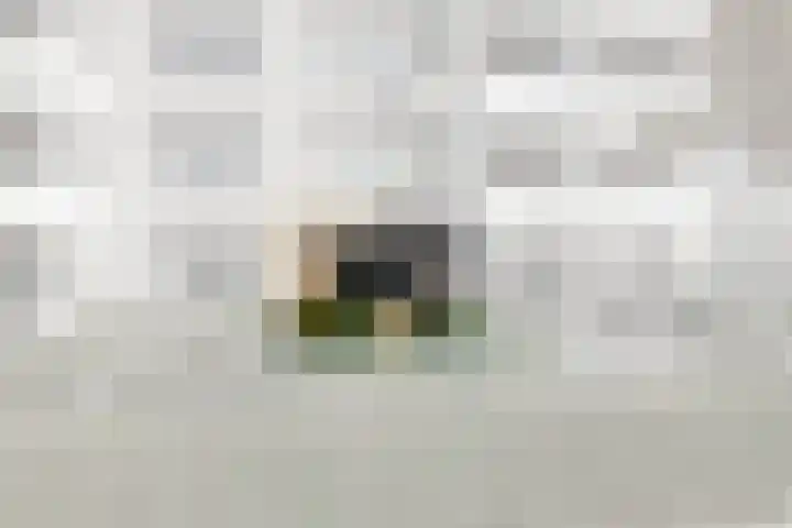 Van Egmondlaan 17 Wateringen thumbnail 32