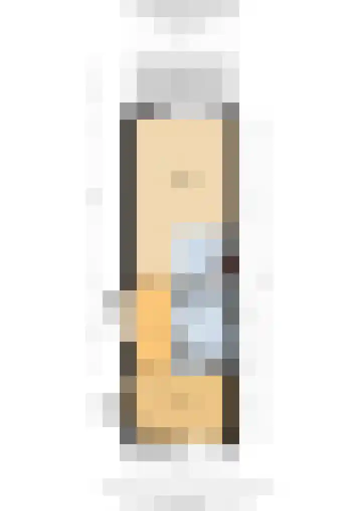 Van Egmondlaan 17 Wateringen thumbnail 34