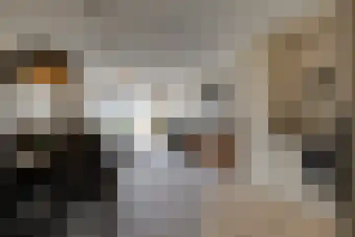 Van Egmondlaan 17 Wateringen thumbnail 6