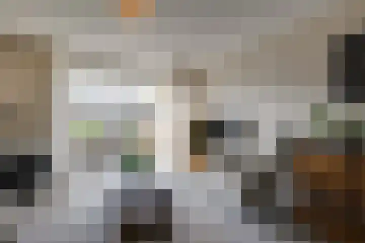 Van Egmondlaan 17 Wateringen thumbnail 9