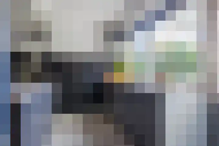 Van Egmondlaan 3 Budel thumbnail 17