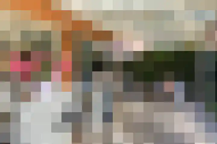 Van Egmondlaan 3 Budel thumbnail 34