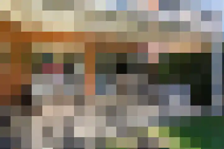 Van Egmondlaan 3 Budel thumbnail 36