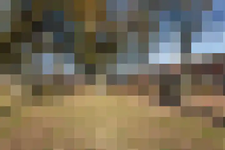 Van Egmondlaan 3 Budel thumbnail 43