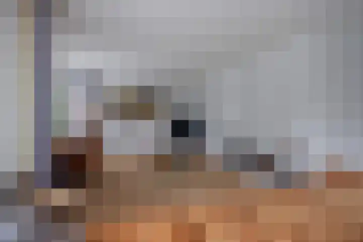 Van Egmondlaan 34 Waalre thumbnail 11