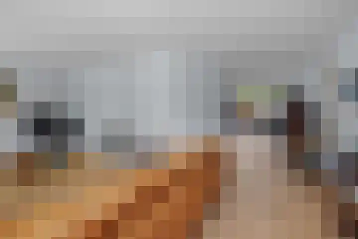 Van Egmondlaan 34 Waalre thumbnail 13