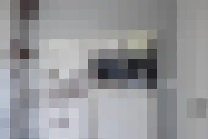 Van Egmondlaan 34 Waalre thumbnail 22