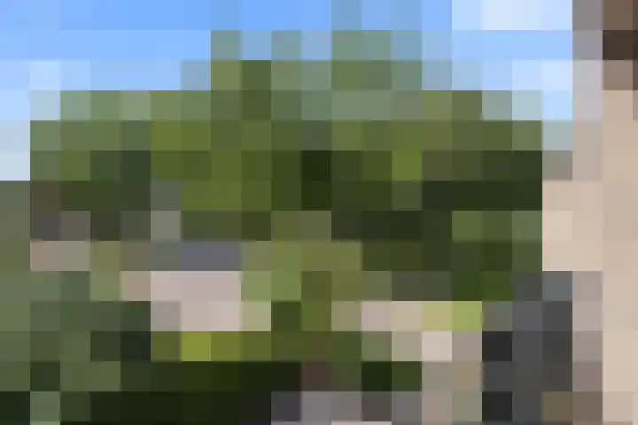 Van Egmondlaan 34 Waalre thumbnail 28