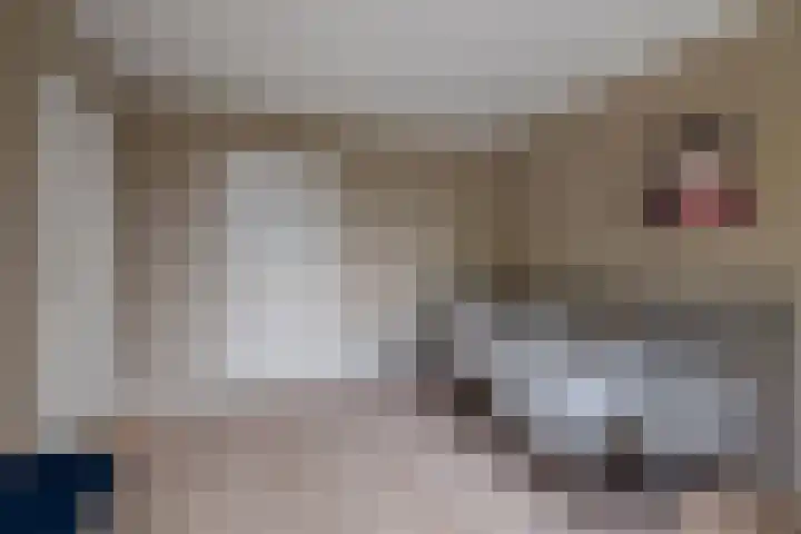 Van Egmondlaan 34 Waalre thumbnail 29