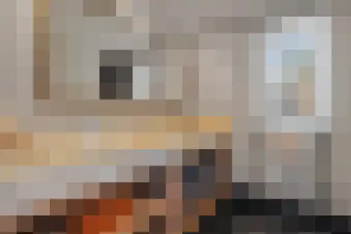 Van Egmondlaan 34 Waalre thumbnail 31