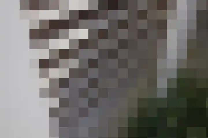 Van Egmondlaan 34 Waalre thumbnail 44