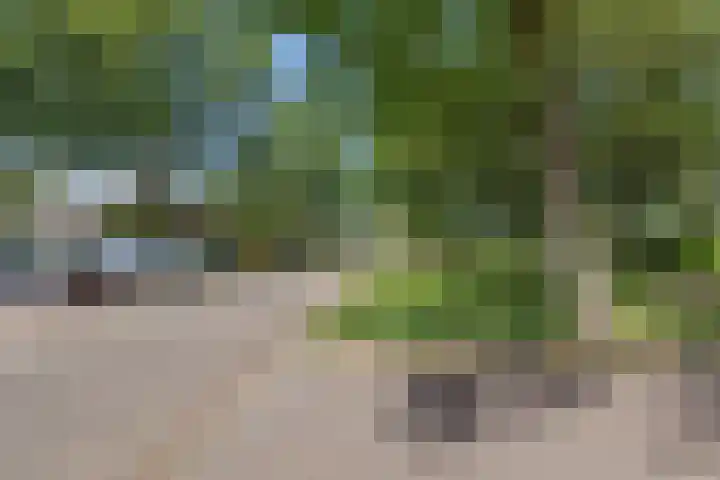 Van Egmondlaan 34 Waalre thumbnail 49