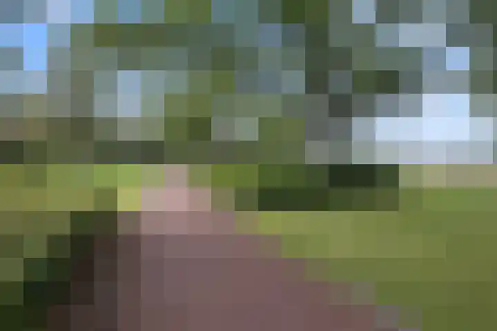 Van Egmondlaan 34 Waalre thumbnail 50