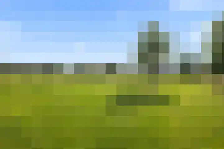 Van Egmondlaan 34 Waalre thumbnail 51