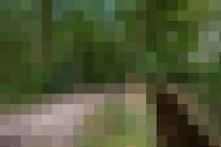 Van Egmondlaan 34 Waalre thumbnail 52