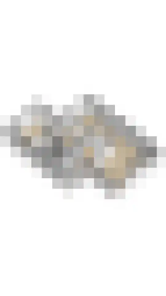 Van Egmondlaan 34 Waalre thumbnail 58