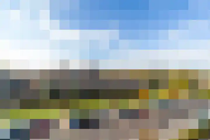 Van Egmondlaan 59 Wateringen thumbnail 34