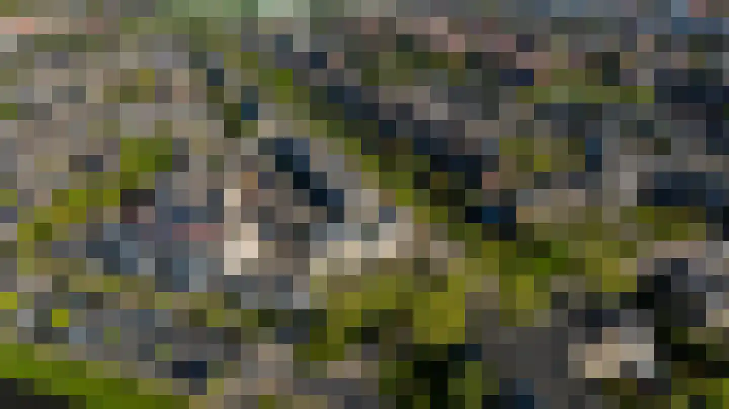Van Egmondlaan 63 Wateringen thumbnail 48
