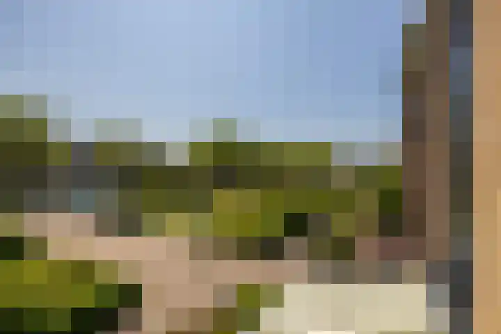 Van Egmondlaan 85 Wateringen thumbnail 32