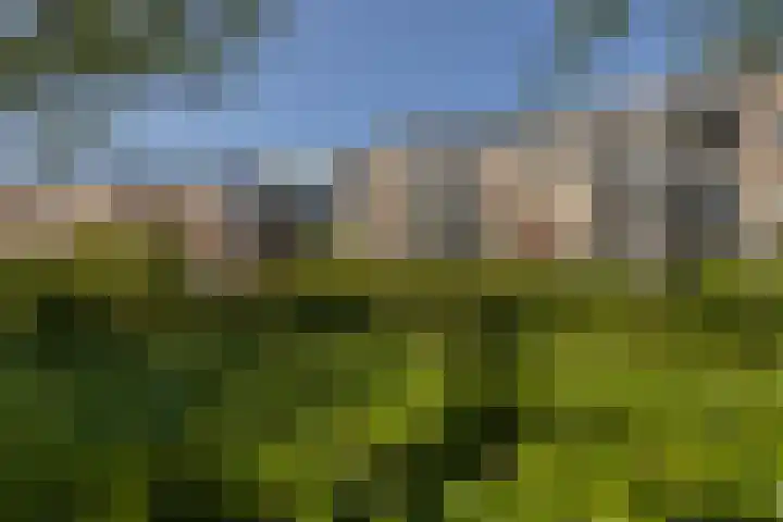 Van Egmondlaan 85 Wateringen thumbnail 37