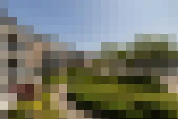 Van Egmondlaan 85 Wateringen thumbnail 38