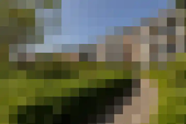 Van Egmondlaan 85 Wateringen thumbnail 39