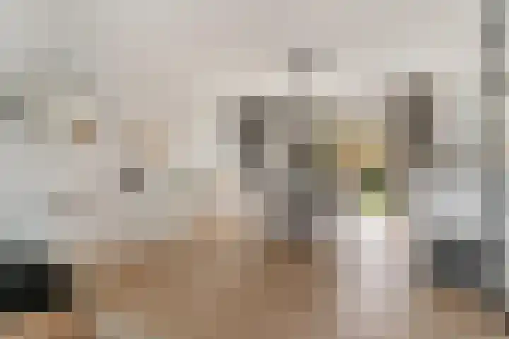 van Egmondplein 15 Brielle thumbnail 11