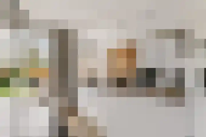 van Egmondplein 15 Brielle thumbnail 13
