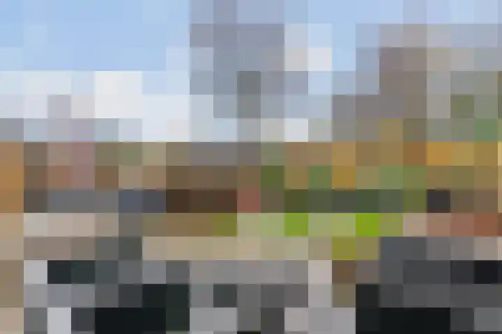 van Egmondplein 15 Brielle thumbnail 16