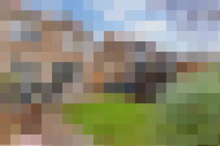 van Egmondplein 15 Brielle thumbnail 17
