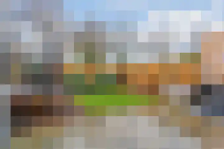 van Egmondplein 15 Brielle thumbnail 18