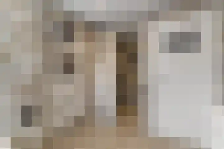 van Egmondplein 15 Brielle thumbnail 20
