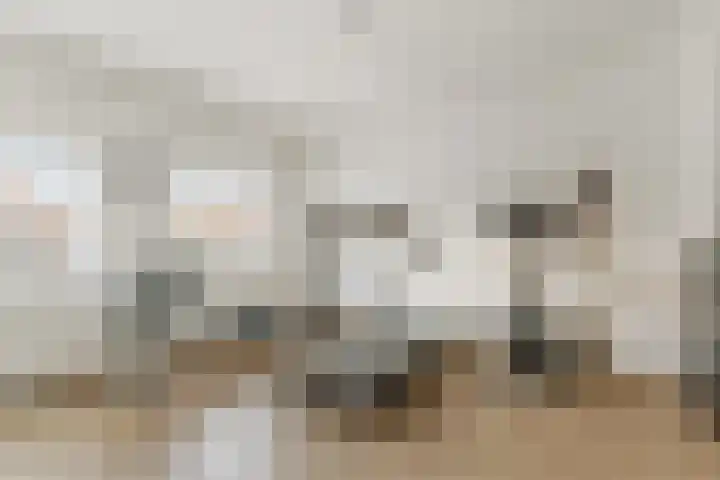 van Egmondplein 15 Brielle thumbnail 24