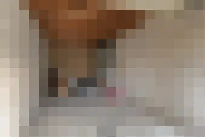 van Egmondplein 15 Brielle thumbnail 33