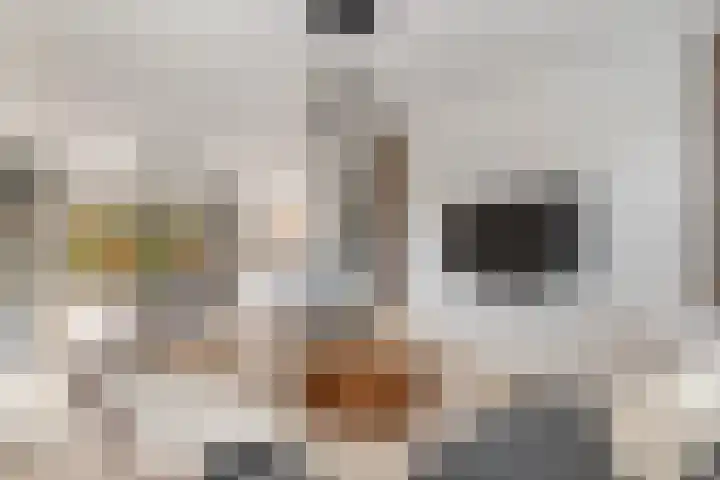 van Egmondplein 15 Brielle thumbnail 7