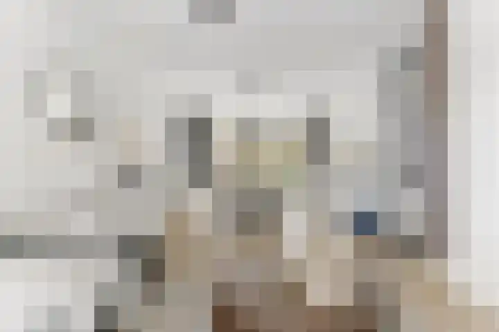 van Egmondplein 15 Brielle thumbnail 8