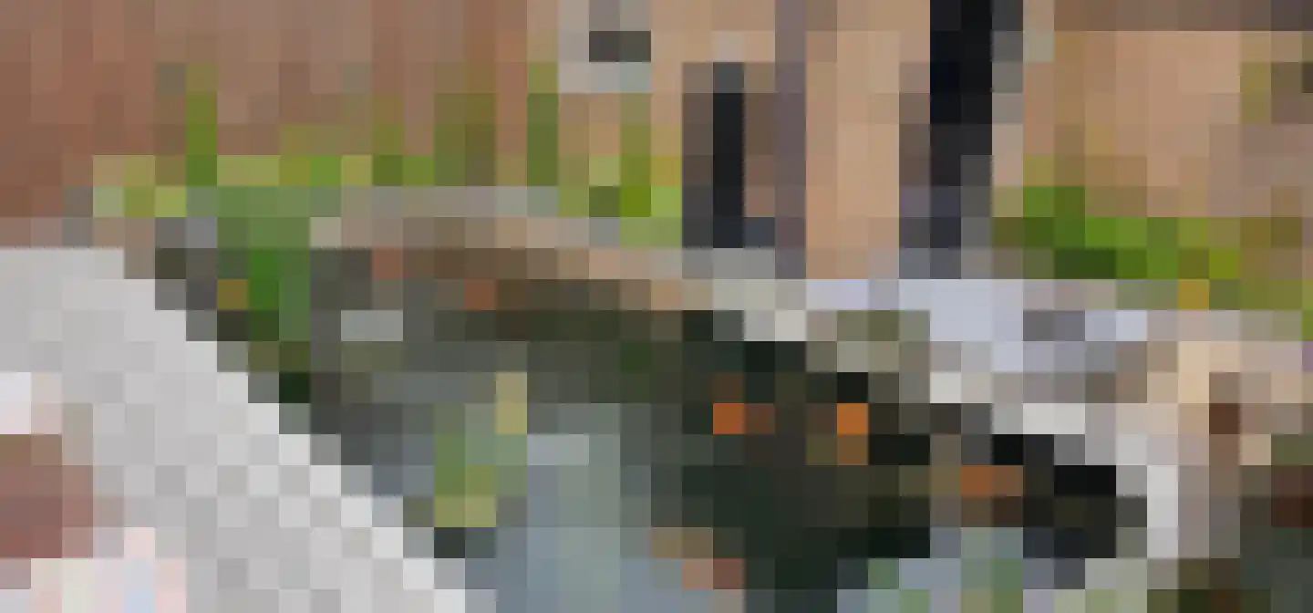 van Egmondplein 6 Brielle thumbnail 34